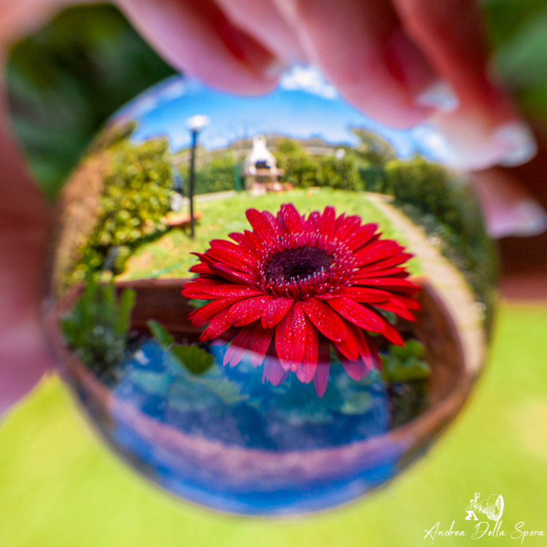 LENSBALL