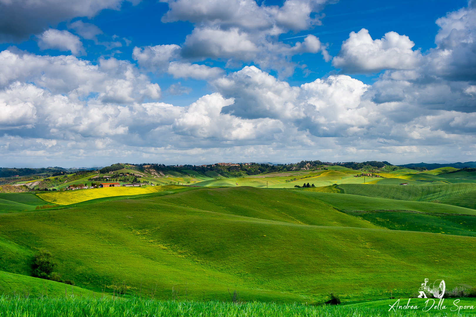 TERRE TOSCANE