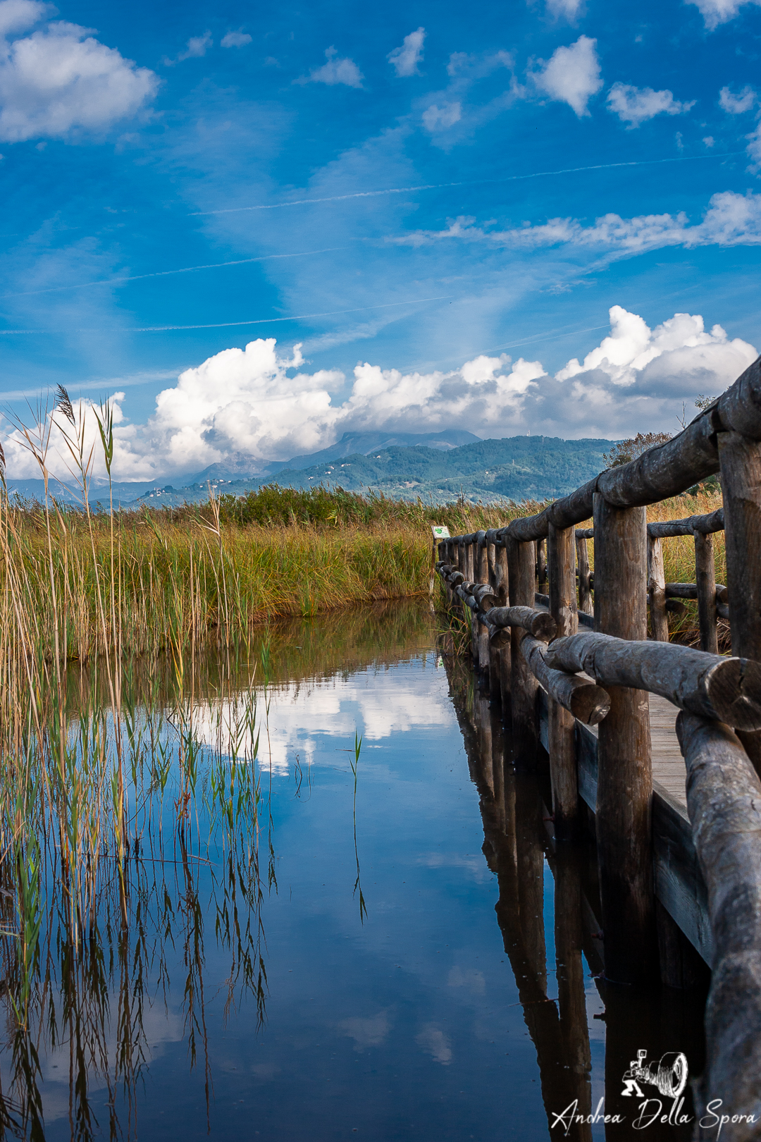 OASI LIPU MASSACIUCCOLI