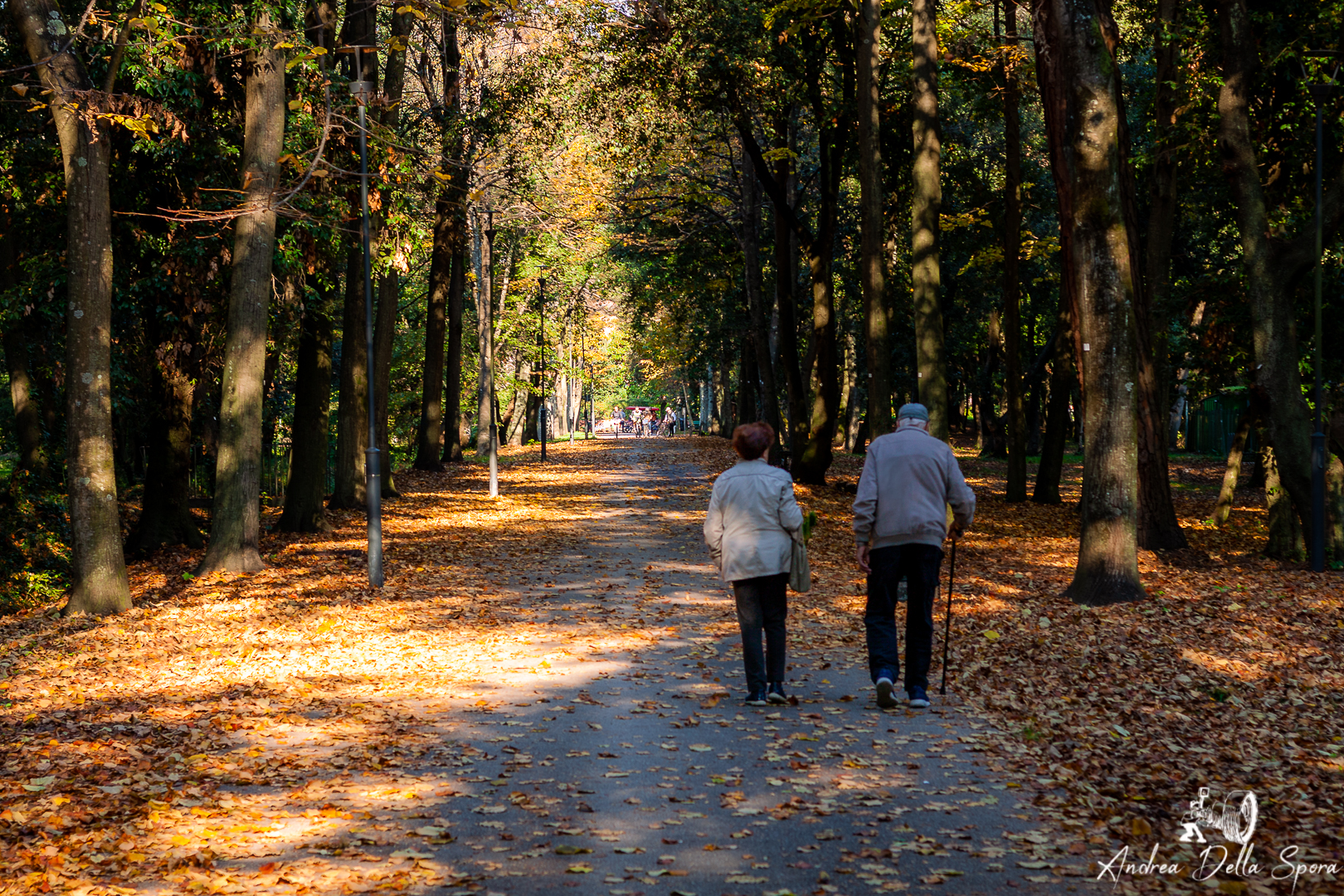 L’AUTUNNO DELLA VITA