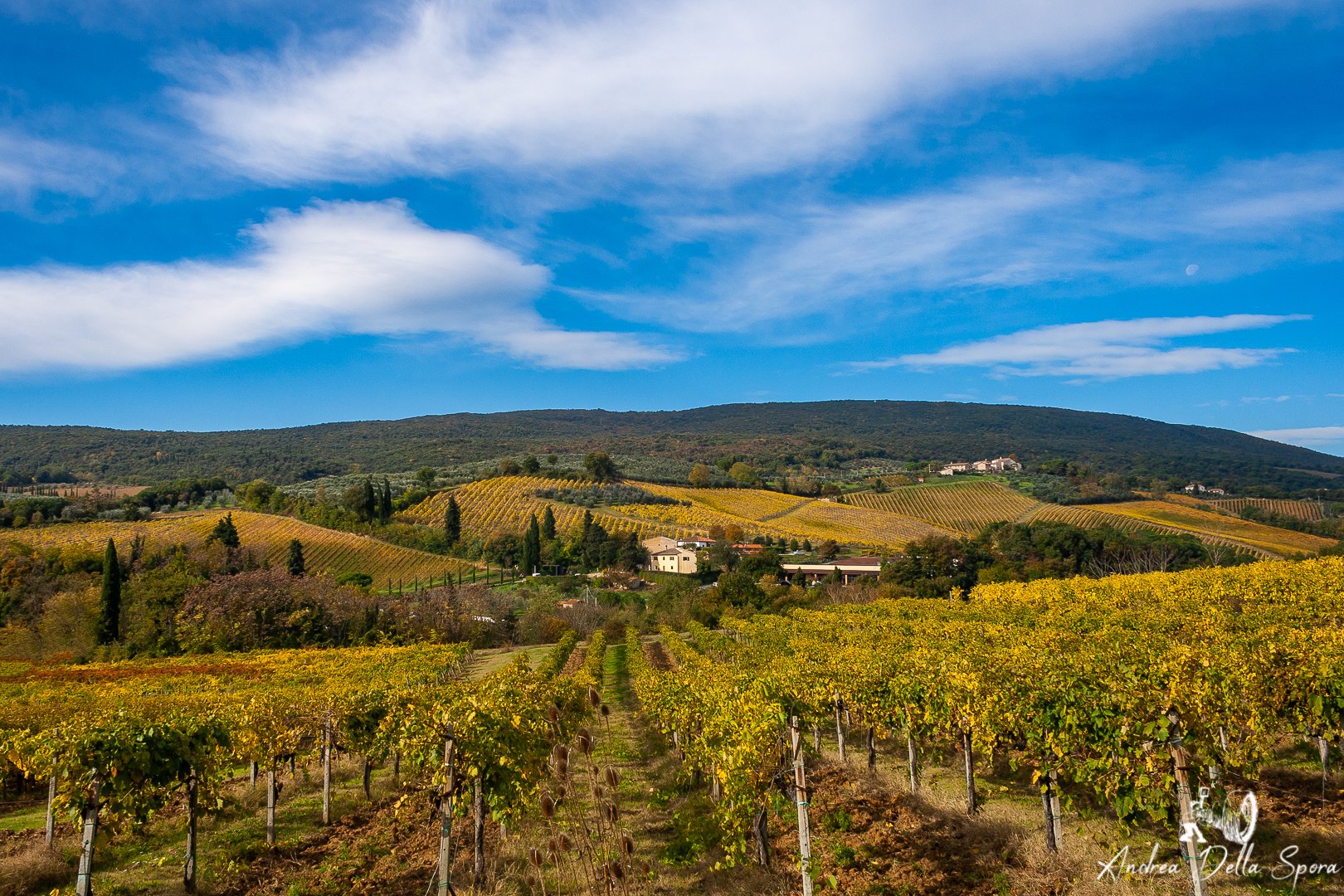 PAESAGGIO TOSCANO