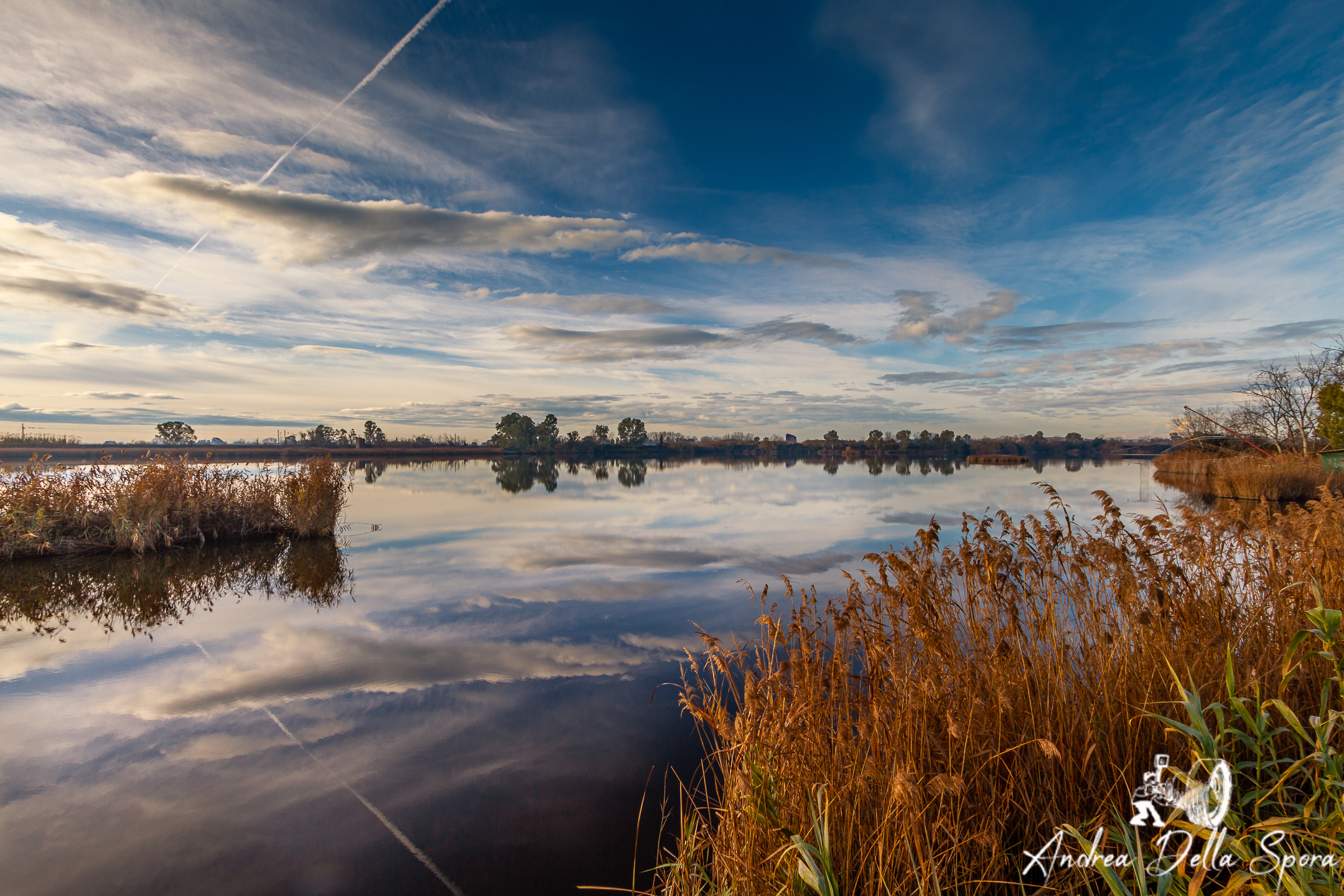 Riflessi – Lago di Massaciuccoli