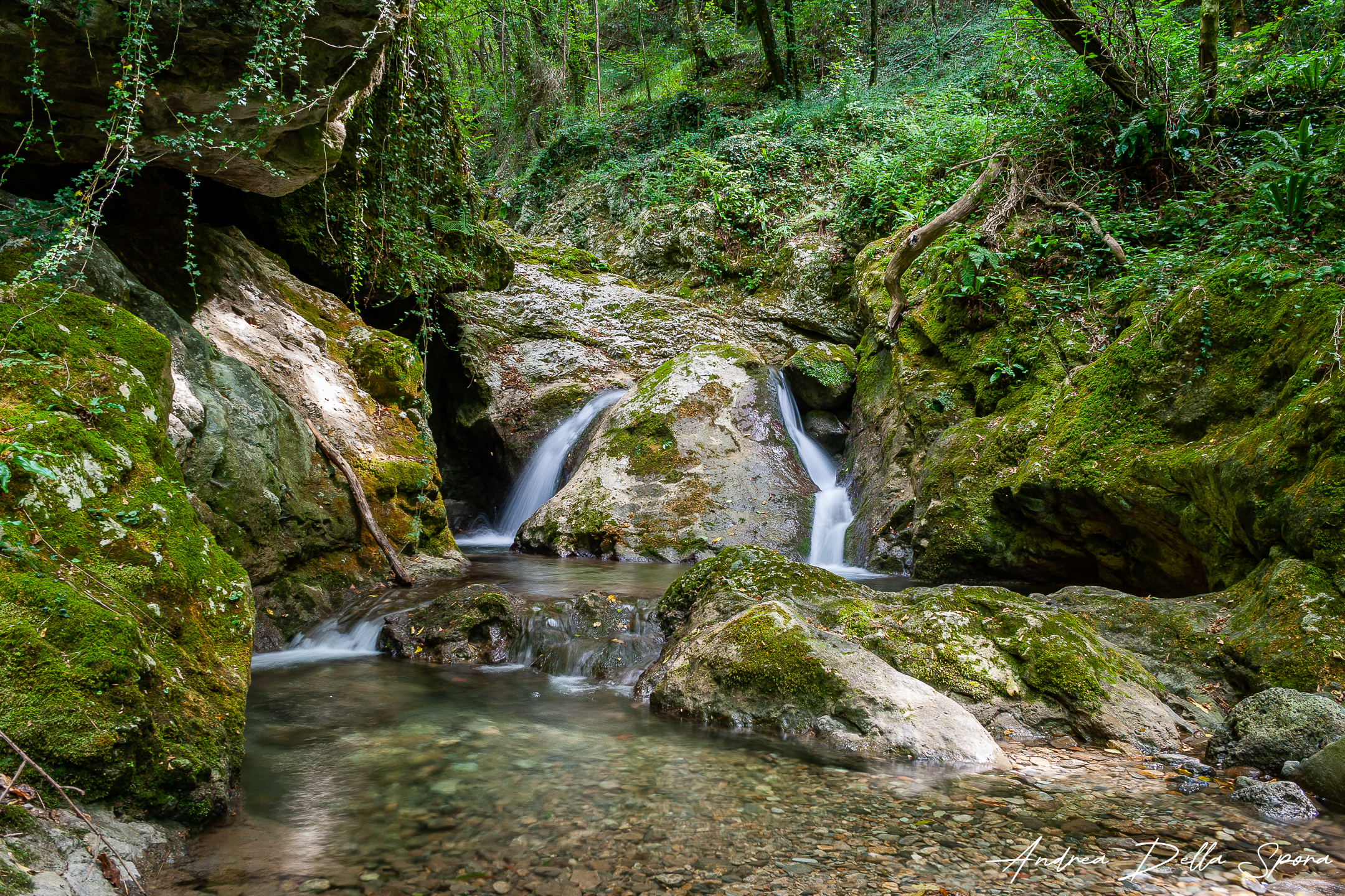 Candalla – Camaiore