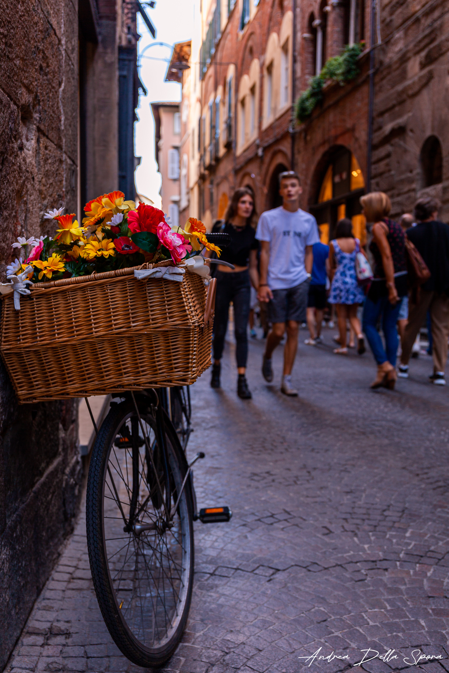 Lucca – Via Fillungo