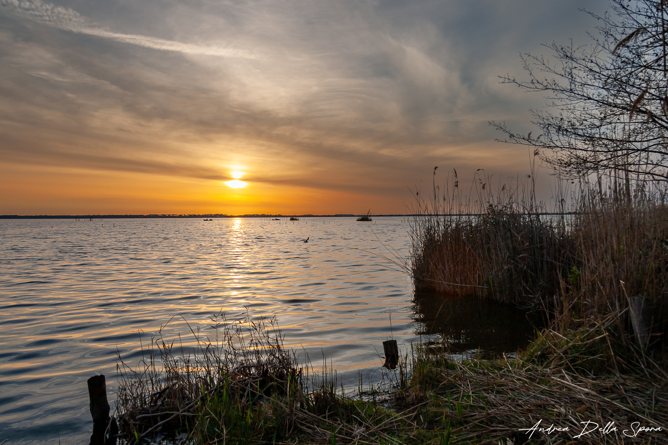 Oasi Lipu Massaciuccoli – Tramonto