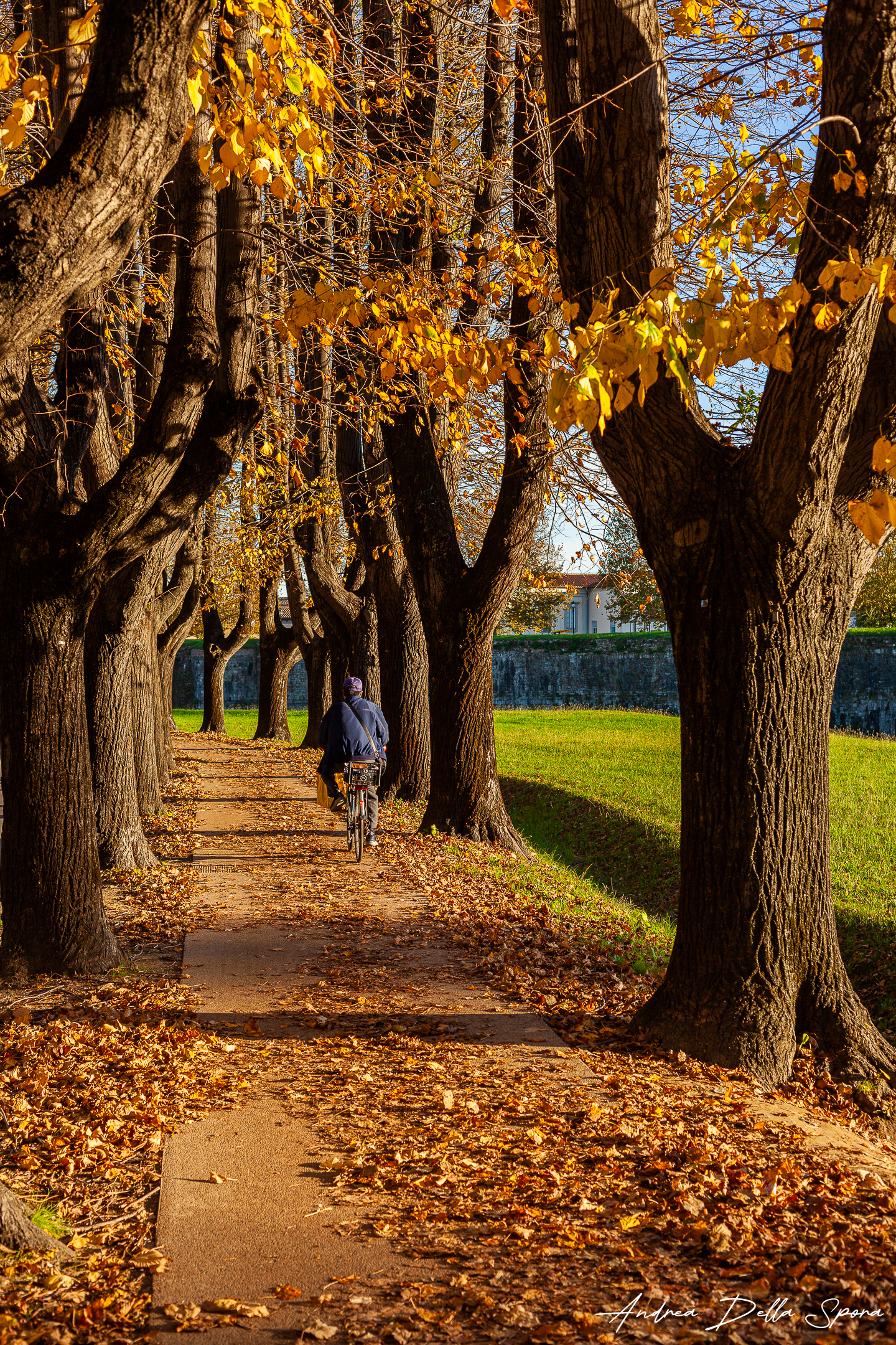 Lucca – Colori Autunnali