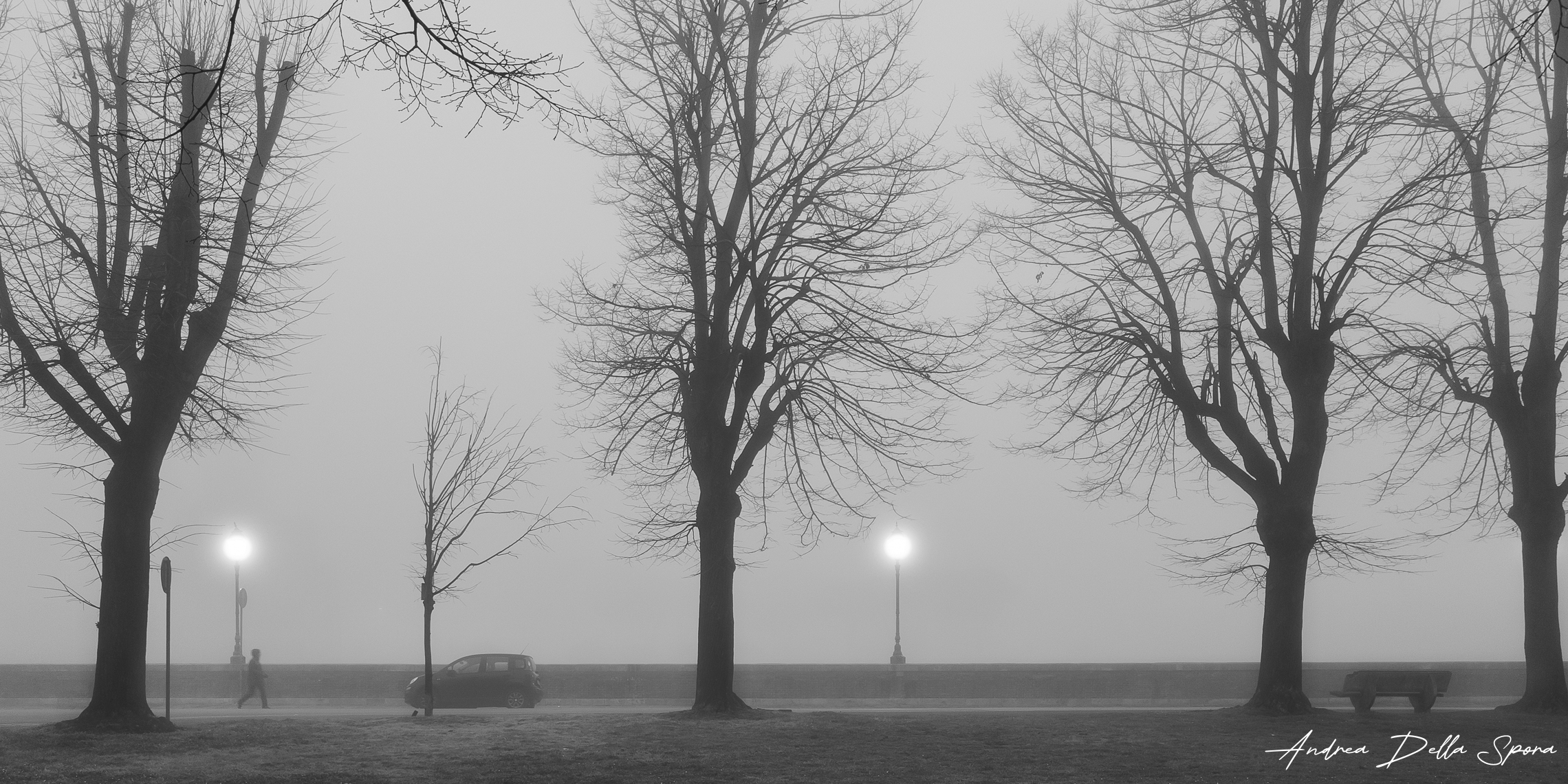 Da solo nella nebbia