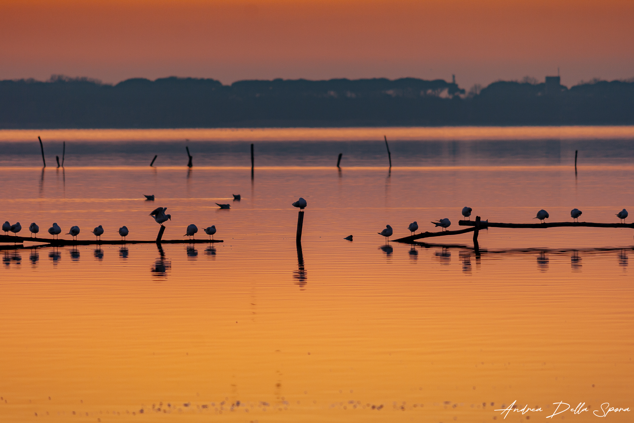Silhouette al tramonto