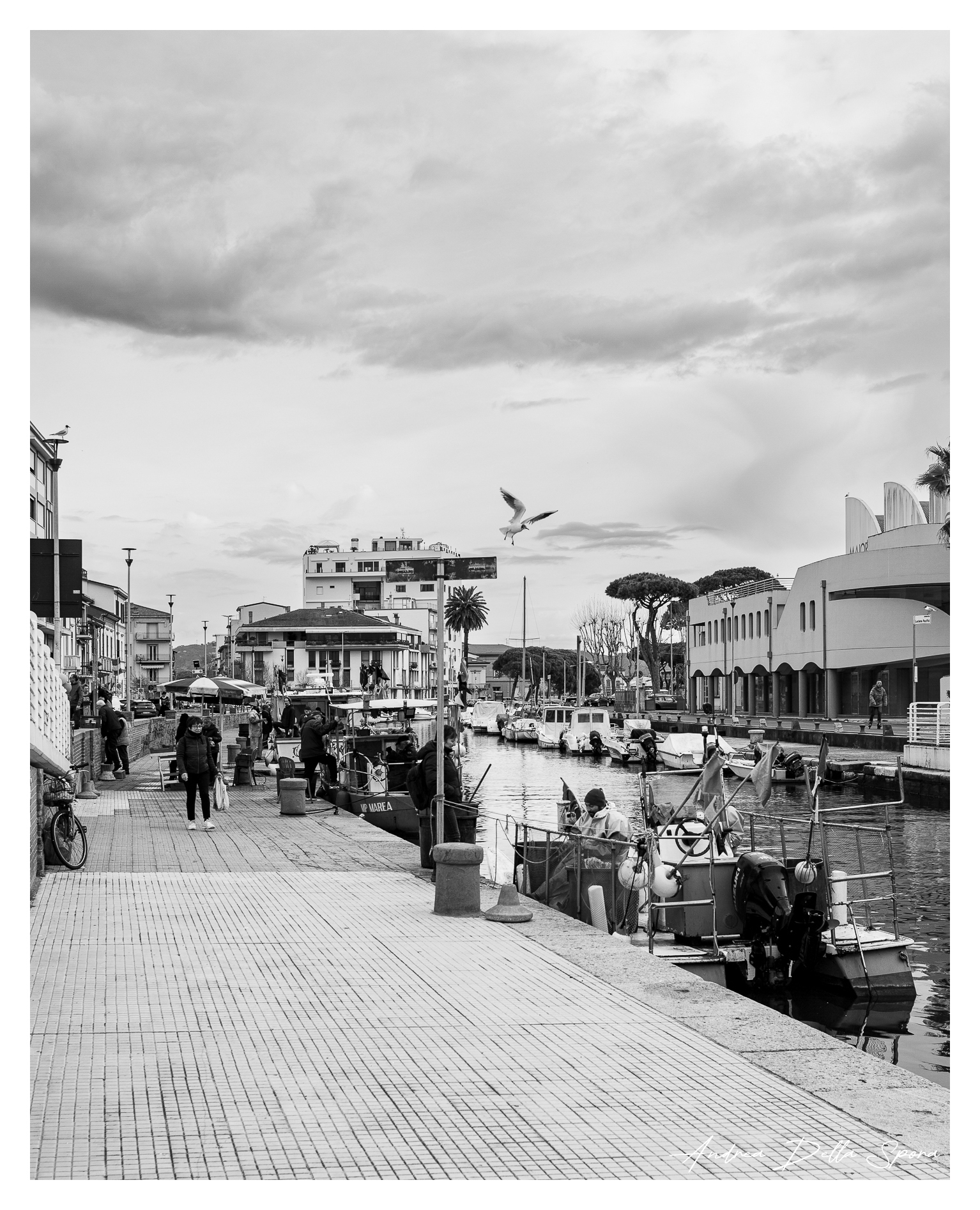 Al mercato del pesce